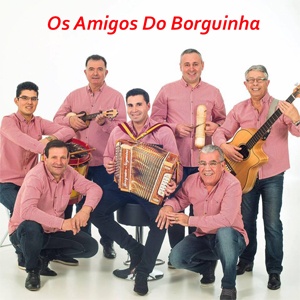 ROSA VERMELHA