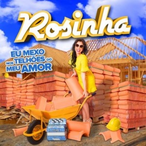 EU MEXO NOS TELHÕES DO MEU AMOR